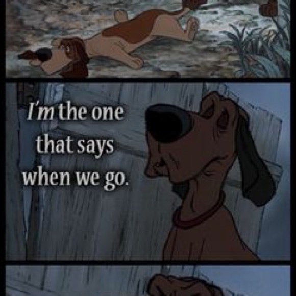 Meet your Posher, Alisa - Picture 8 of 8